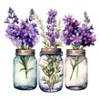 © MdAbdul - Collection of watercolor mason jars with purple flowers clipart.