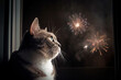 Cat watching fireworks at night through window