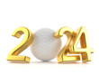 Golf ball new year
