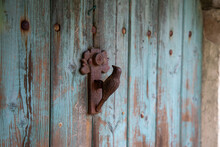 Brown Birdy Door With Knocker Steel Bird Close Up On Ancient Vintage Facade