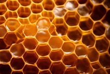 Top View Of Close-up Of Honeycomb From Various Angles , 