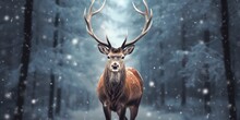 Noble Deer Male In The Winter Snow Forest. Artistic Winter Christmas Landscape.