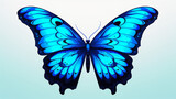Fototapeta Motyle - Blue butterfly