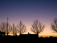 Leafless Trees And House Silhouetted Against Sky At Sunrise