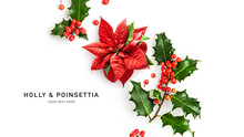 Christmas Poinsettia And Holly Red Berries Isolated On White Background  .