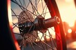 Bicycle Wheel Close Up with Sunset