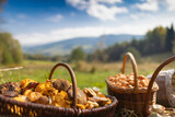 Fototapeta Fototapeta z niebem - Grzybobranie w Tyliczu jesienią. Kosze pełne grzybów na tle pięknych krajobrazów.