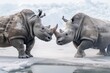 Two Rhinoceros getting ready for fight on Ice.