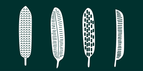 set of hand drawn long leaves