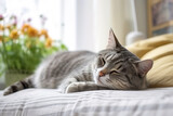 Fototapeta Koty - domestic cat pet sleeping on the gray bed in modern scandinavian interior of bedroom with many green house plants, cosy, home interior design.
