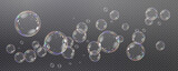 Fototapeta  - Realistic soap vector bubbles png isolated on transparent background. The effect of falling and flying bubbles. Glass bubble effect.	
