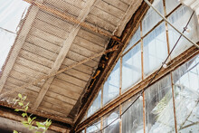 Abandonned Greenhouse Surrounded By Overgrown. Roof Of An Ancient Greenhouse With Rusty Metal Ceilings
