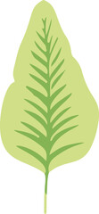 Poster - Minimalistic vector illustration of tropical leaves.