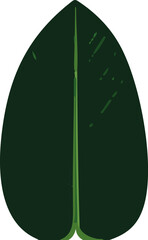 Poster - A simple, elegant depiction of tropical leaves in vector form, showcasing a minimalist design aesthetic.