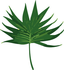 Poster - Minimalistic vector illustration of tropical leaves.