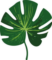 Poster - Minimalistic tropical leaves vector illustration.