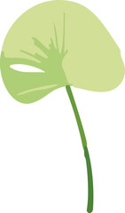 Poster - Minimalistic tropical leaves in vector format, beautifully capturing the essence of nature's lush greenery.