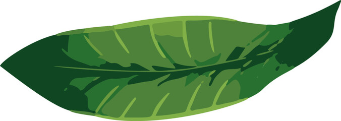 Poster - Tropical leaves showcased through minimalistic vector art.