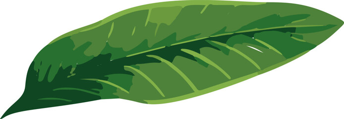 Poster - A sleek, minimalistic depiction of tropical leaves intertwined in a vibrant vector design.