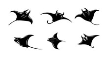 Set Of Manta Ray Silhouettes On Isolated Background