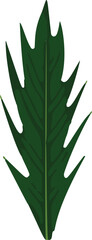 Poster - A vibrant tropical vector of minimalistic leaves, encapsulating the essence of lush greenery and natural beauty.