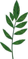 Poster - Minimalistic vector illustration of tropical leaves. Vibrant green and simplistic design captures the essence of tropical paradise.