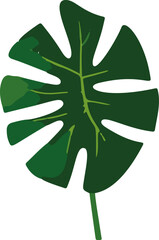 Poster - A vibrant and simplistic illustration of tropical leaves in vector form, bringing a touch of paradise to any design.