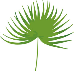 Poster - Minimalistic tropical leave vector - a clean and sleek representation of lush green leaves, bringing a touch of the tropics to your design.