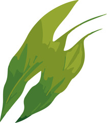 Poster - Minimalistic tropical vector leaves.