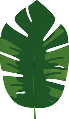 Poster - Minimalistic vector illustration of tropical leaves.