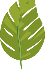 Poster - Minimalistic vector illustration of tropical leaves.