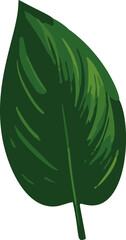 Poster - Minimalistic vector illustration of tropical leaves.
