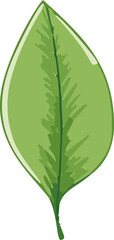 Poster - Minimalistic vector illustration of tropical leaves.