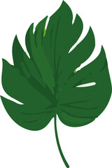 Poster - Minimalistic tropical leaf vector design. Embracing simplicity, exuding vibrant hues, and capturing the essence of tropical flora in a clean and elegant format.