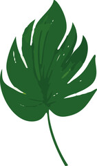 Poster - Minimalistic vector illustration of tropical leaves.