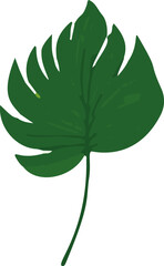 Poster - Minimalistic vector illustration of tropical leaves.