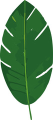 Poster - Minimalistic vector illustration of tropical leaves.