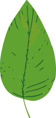 Poster - A visually captivating tropical leaf design crafted with a minimalist approach, displayed in a vector format.