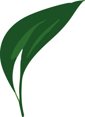 Poster - A minimalistic vector illustration of tropical leaves, capturing the essence of lush greenery in a simple yet vibrant way.