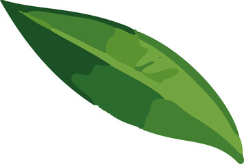 Poster - Minimalistic tropical vector leaves