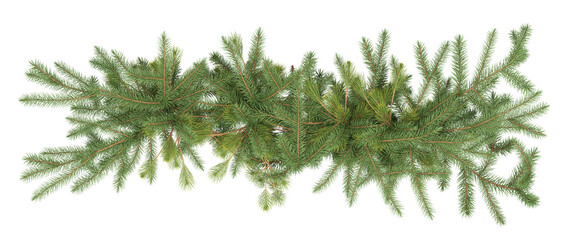 christmas branch