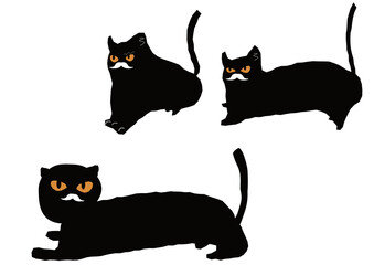  猫　変顔　髭　ひげ　黒猫　かわいい　伸びる　ストレッチ