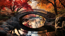 A Small Arched Bridge That Leads Over A River In The Autumn Forest