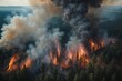 Aerial view of a burning forest. Wildfire, global warming and climate change. the concept of disaster 
