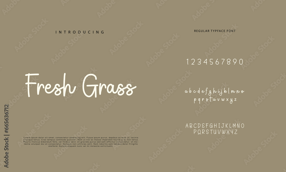 Handwritten Script font. Hand drawn brush style modern calligraphy ...