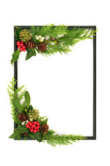 Wall Mural - Natural Christmas background traditional greenery frame, holly, mistletoe, ivy flora on white. Festive nature card, border, Noel, New Year holiday design.