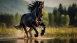 Majestic black horse gallops freely across a dew-kissed field, capturing the essence of early morning freedom
