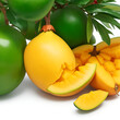 Mango fruit pic international fruitday