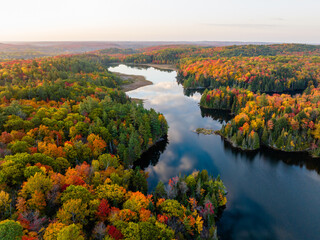 Wall Mural - Aerial view of a narrow lake and forest with autumn colour and cloud reflections in the morning