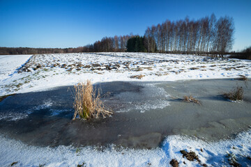 Wall Mural - Frozen water and snow on a farm field, view on a sunny winter day